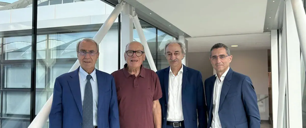 I vertici di Sesa